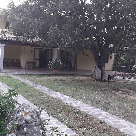 Agriturismo La Tuva Villa Padru ภายนอก รูปภาพ