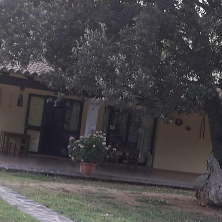 Agriturismo La Tuva Villa Padru ภายนอก รูปภาพ